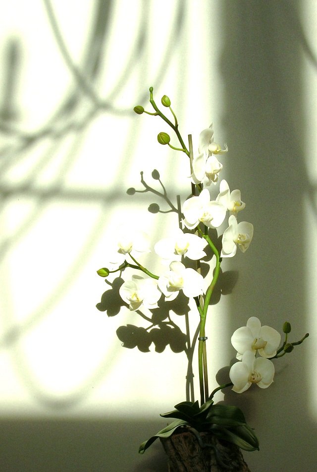 Уникальные цветы из фоамирана: выкройки (видео)