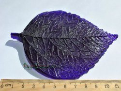 Гибискуса лист